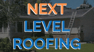 Read more about the article Next Level Roofing! 🛠