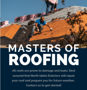 Read more about the article Masters of Roofing