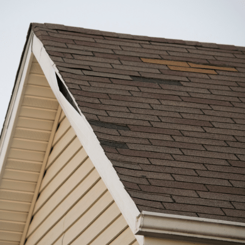 spring damaged roof