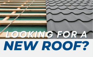 Read more about the article Looking for a New Roof?